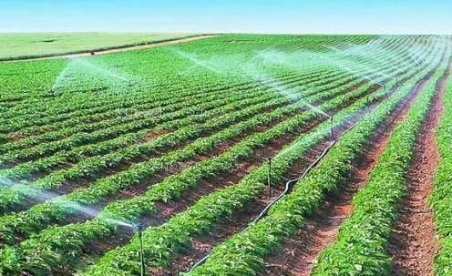 草逼视频免费观看农田高 效节水灌溉